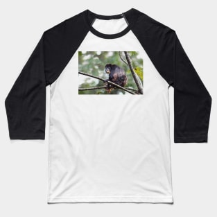 Howler monkey and baby Baseball T-Shirt